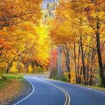 Great Smoky Mountains National Park