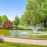 Freedom Park