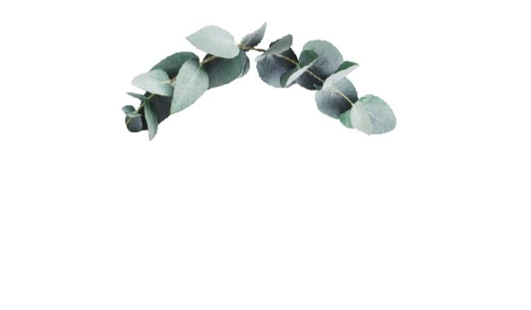 Footer image