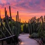 Desert Botanical Garden