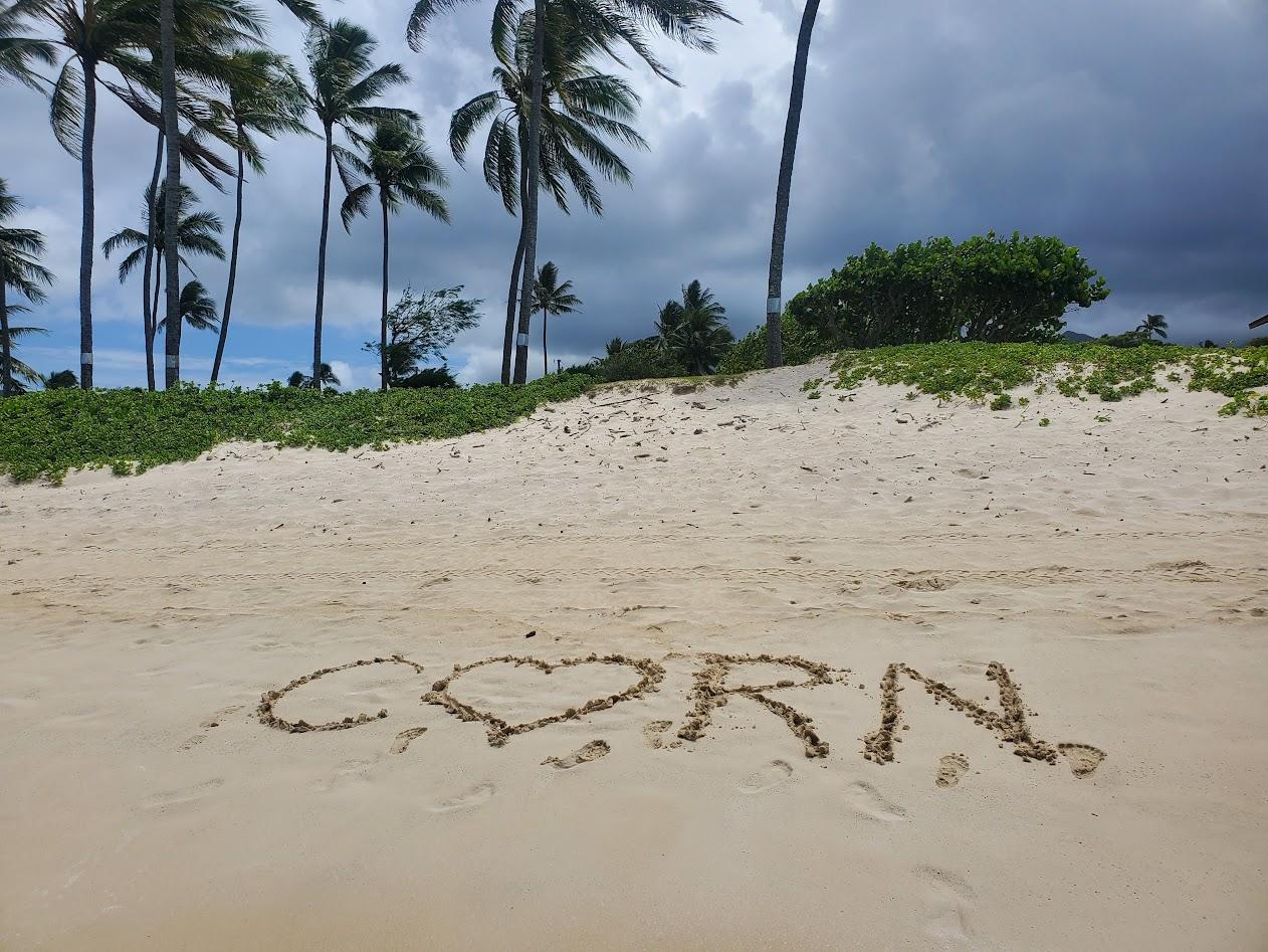 The Wedding Website of Crissy Cornelius and Don Cornish