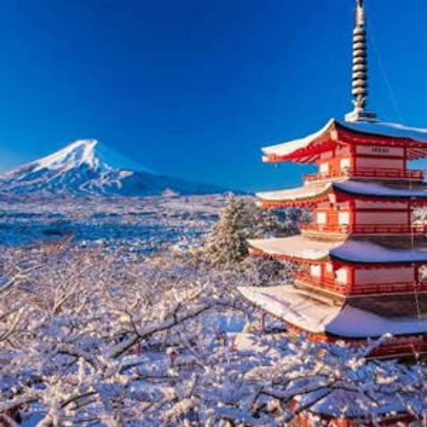 Japan Honeymoon Fund