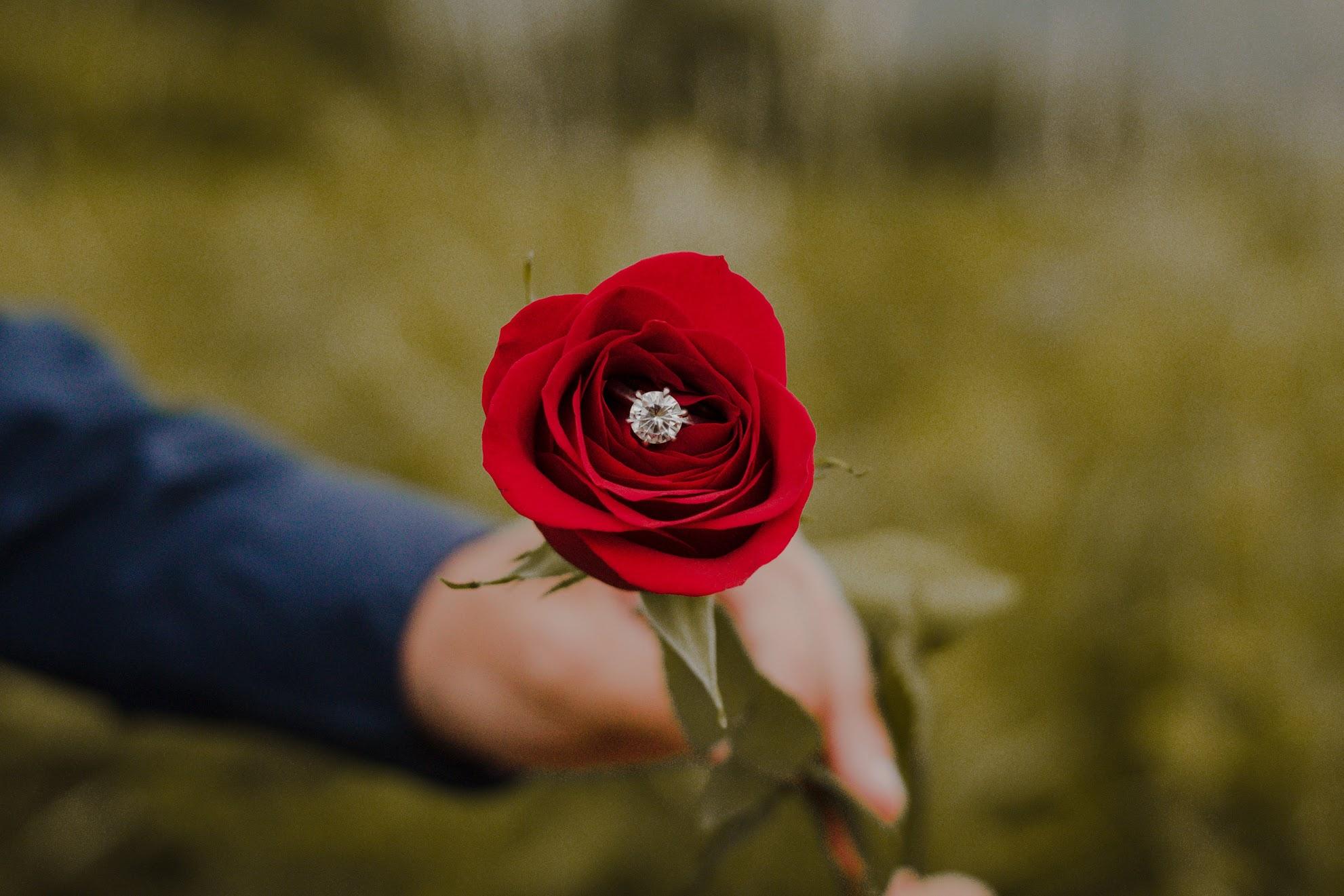 The Wedding Website of Kaitlyn Reasland and Benjamin Rose