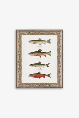 Printed Trouts Wall Art