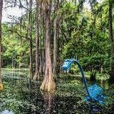 Tallahassee Museum