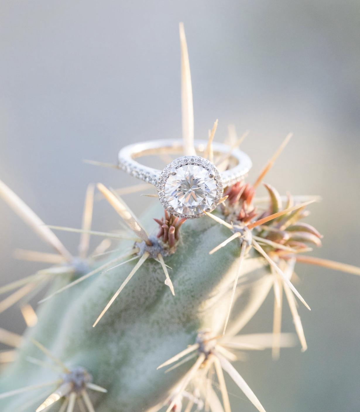 The Wedding Website of Melissa Faletti and Jonathan Goble