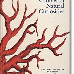 Albertus Seba's Cabinet of Natural Curiosities XXL (Jumbo)