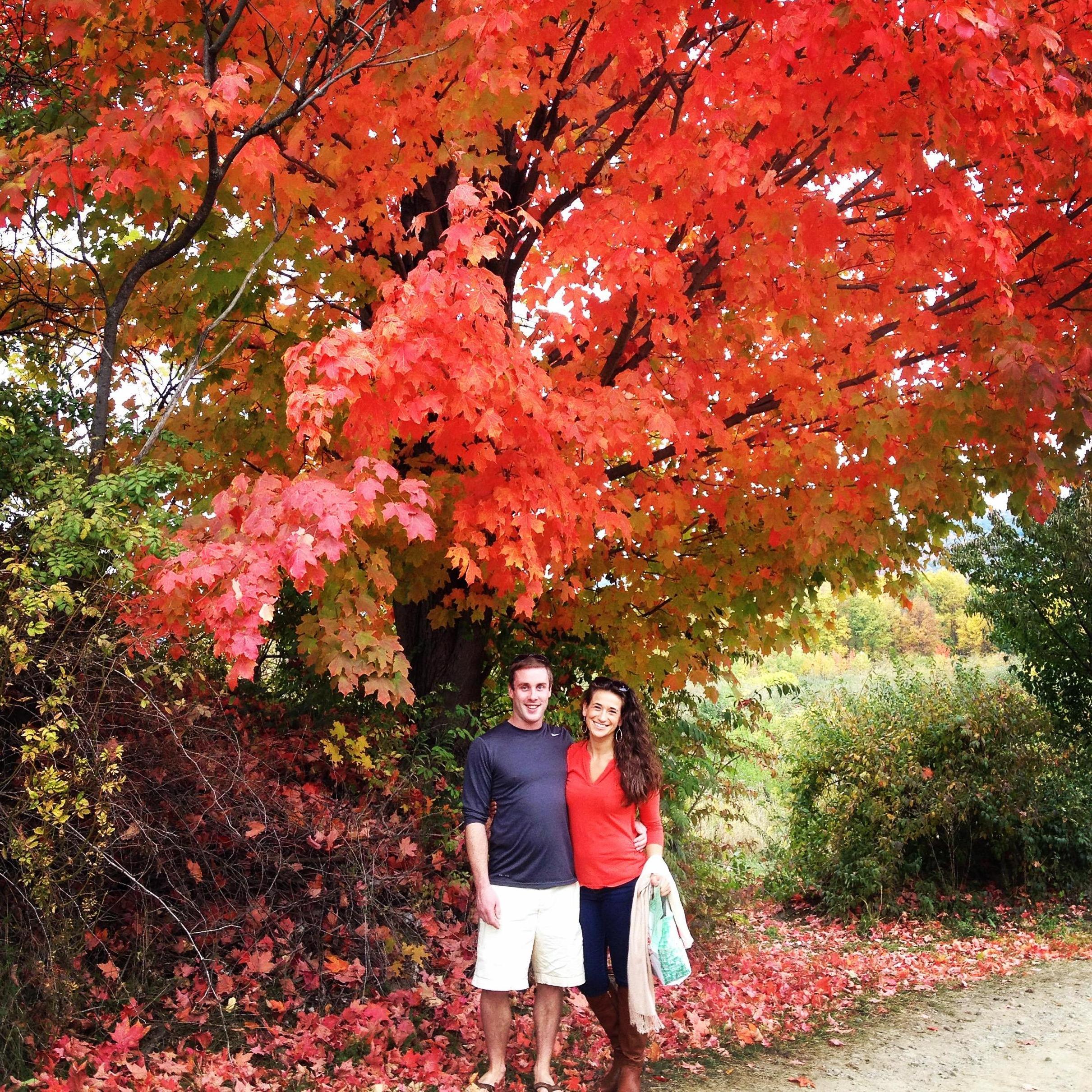 Fall 2016: Our 1st time Apple Picking at Little Tree Orchards.