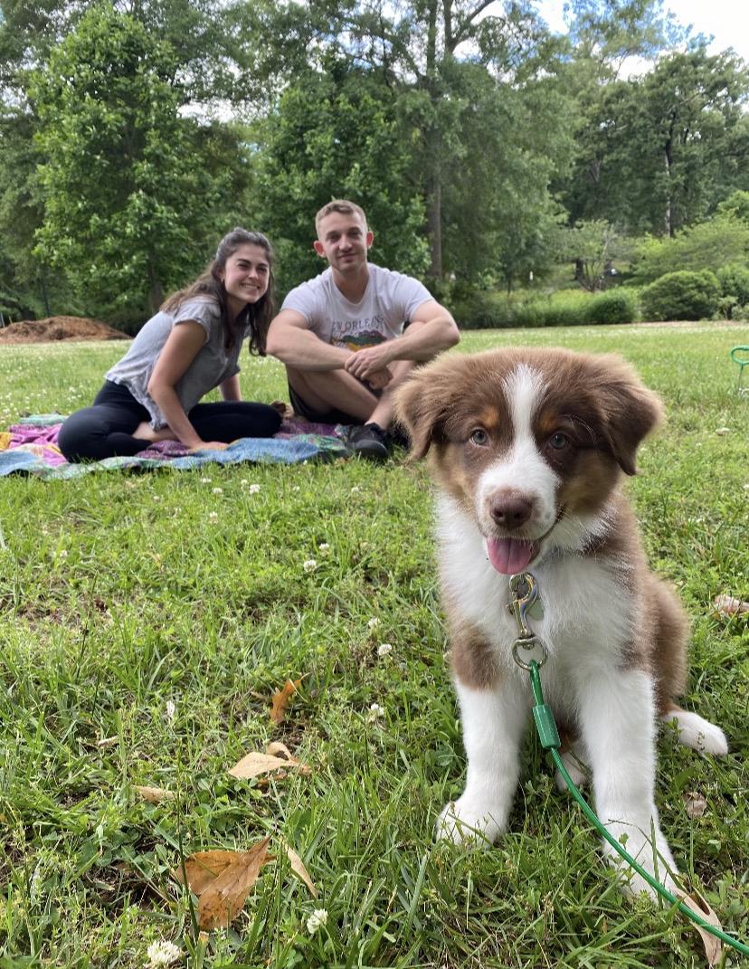 Adopting our son in April 2020. A true "pandemic pup"!