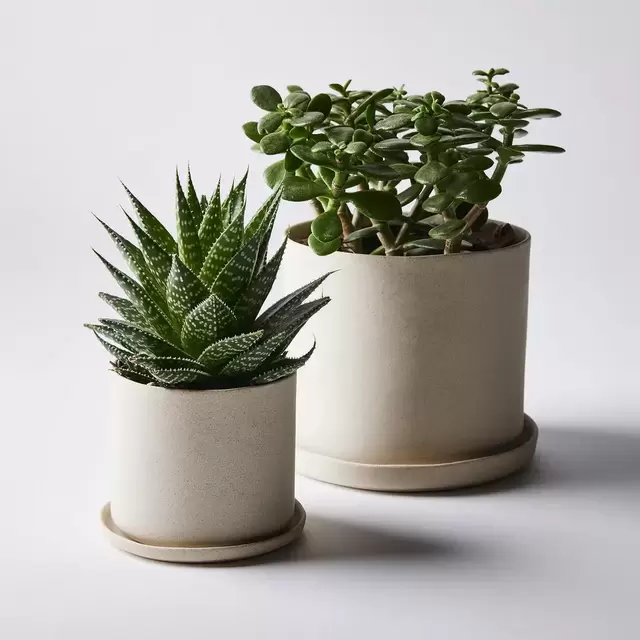 Convivial Minimal Stoneware Planters