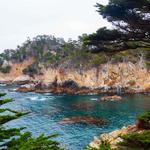 Point Lobos State Natural Reserve