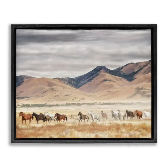 Stupell Industries Wild Horses Roaming Across Western Landscape Floating Frame Canvas Art, Black, 21" x 17"