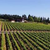 19255 N HWY 99W Dayton, OR 97114