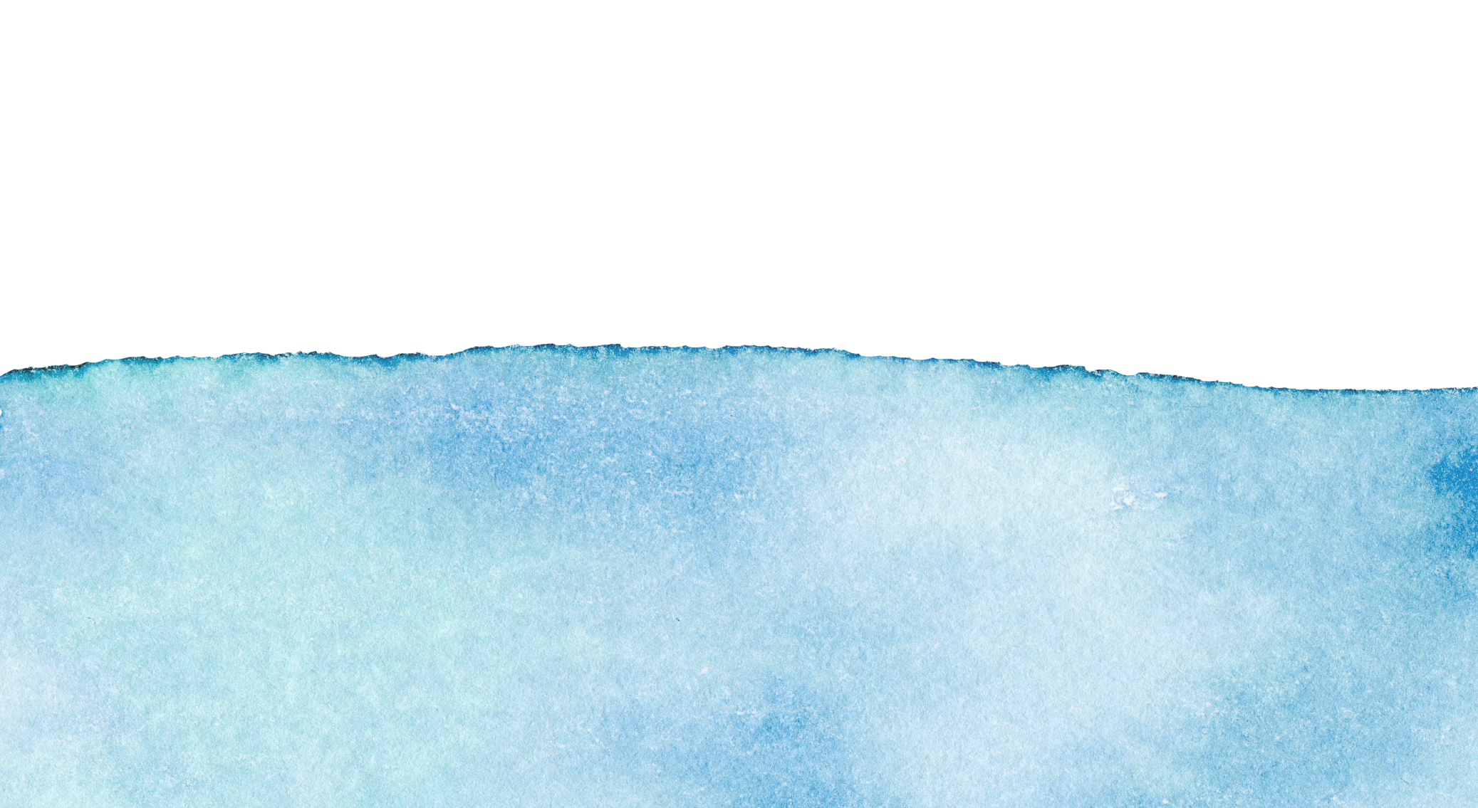 Footer image