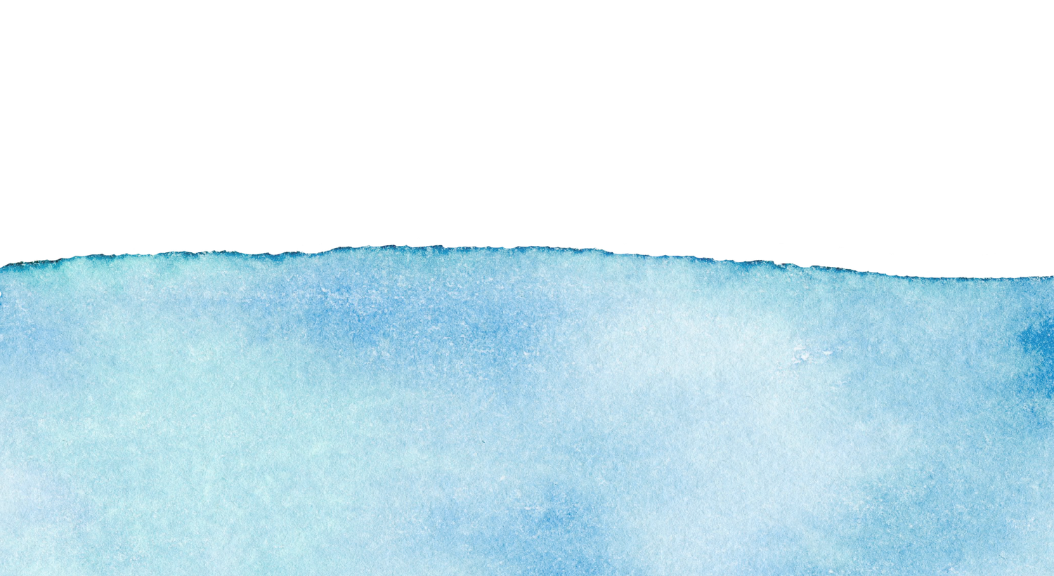 Footer image