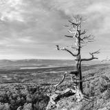 Mount Magazine State Park