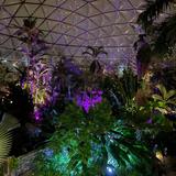 Greater Des Moines Botanical Garden