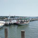 Glory Harbor Tour