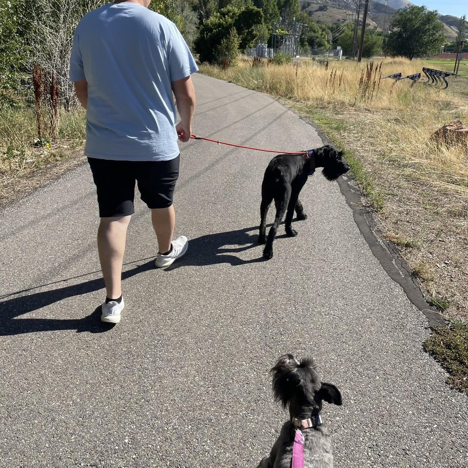8/28/23, walks with our little family