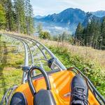 Alpine Coaster