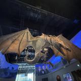Warner Bros Studio Tour