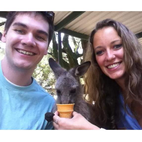 Feeding kangaroos in Sydney, Australia