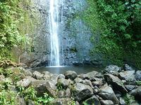 Na Ala Hele: Manoa Falls Trail