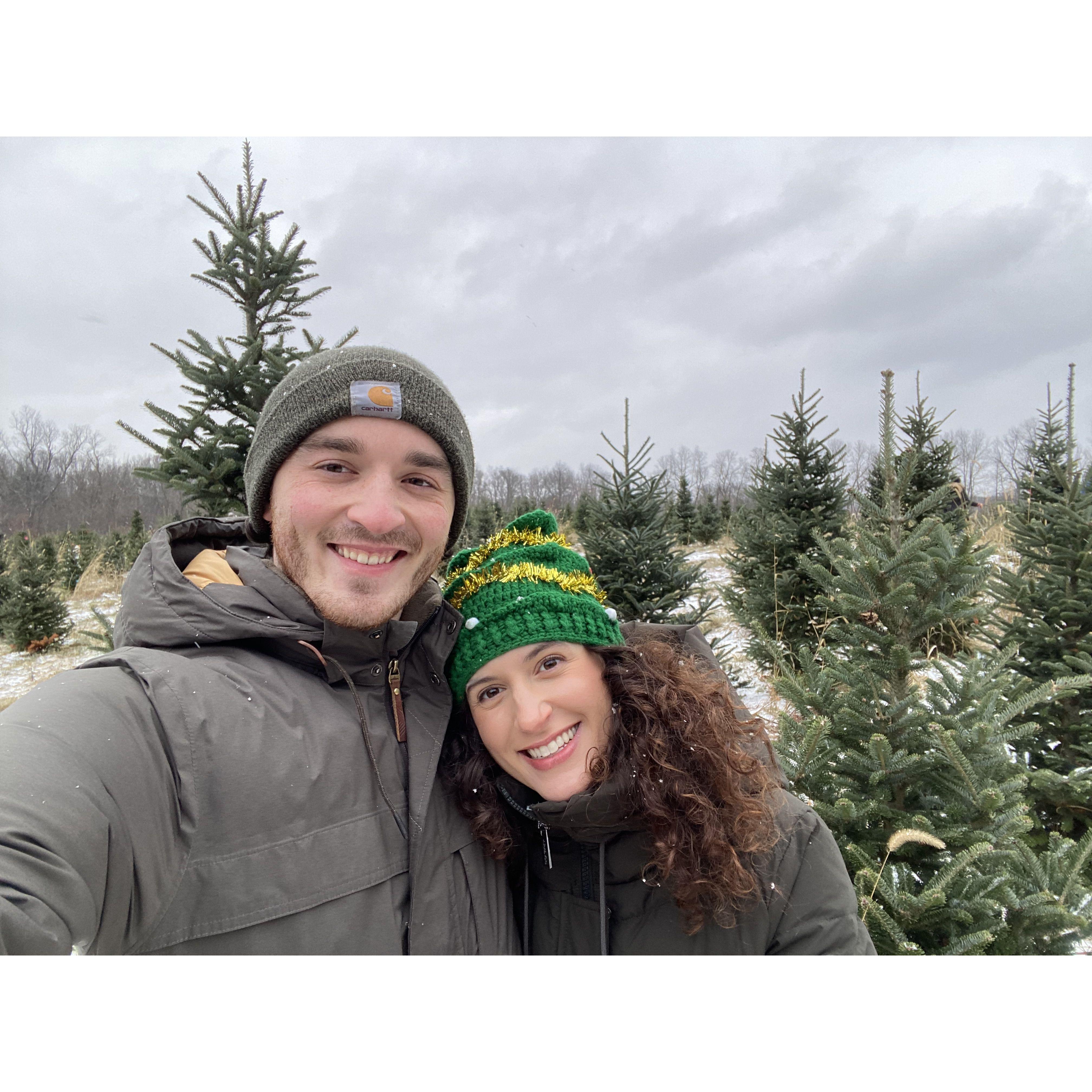 Tree Chopping 2024, this time we were actually engaged!!