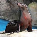Audubon Zoo