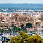 Take a day trip to Palma:
