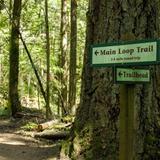 Stimpson Family Nature Reserve