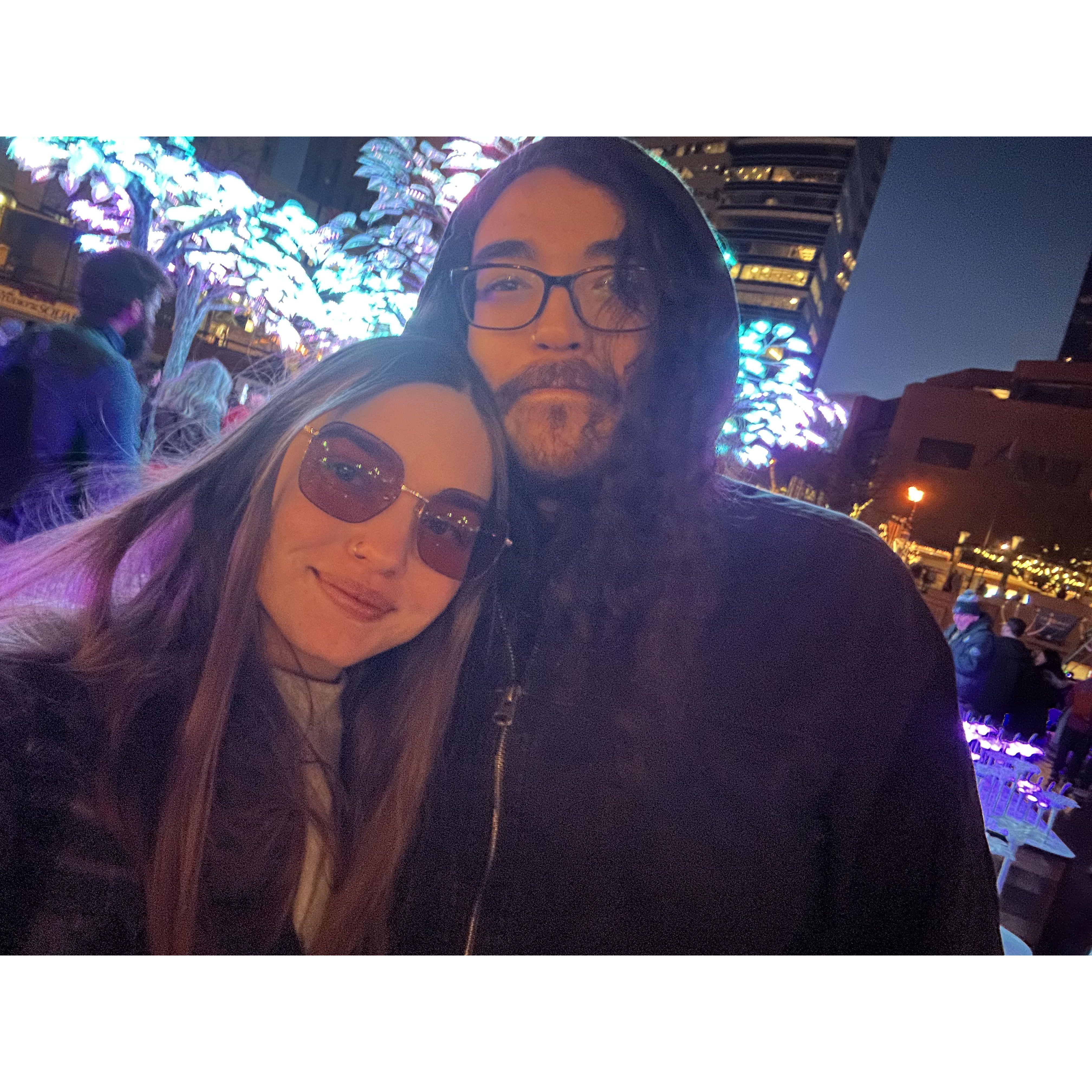 Portland Winter Lights Fest show