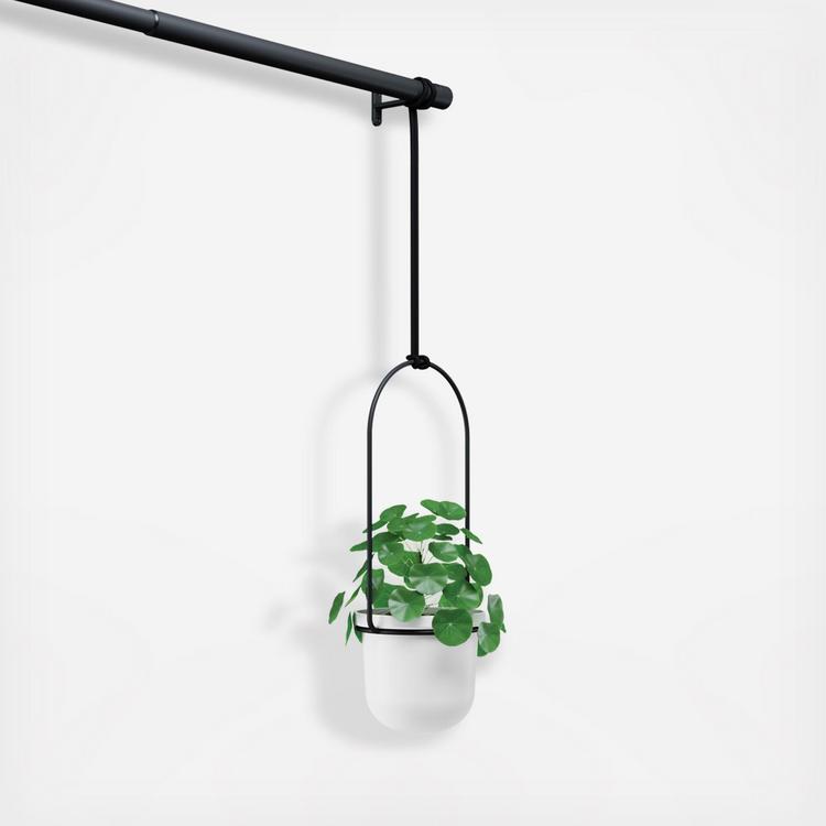 Umbra, Triflora Hanging Planter | Zola