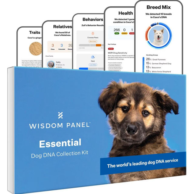 WISDOM PANEL Essential Breed Identification DNA Test for Dogs - Chewy.com