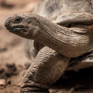 Full-day Mahé Island Tour | Seychelles Honeymoon