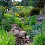 Juniper Level Botanic Garden