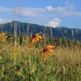 Cades Cove