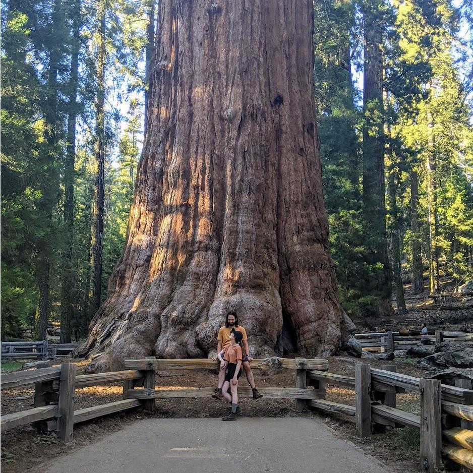 sequoia national park, 2021