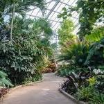 Daniel Stowe Botanical Garden