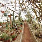 Moorten Botanical Garden