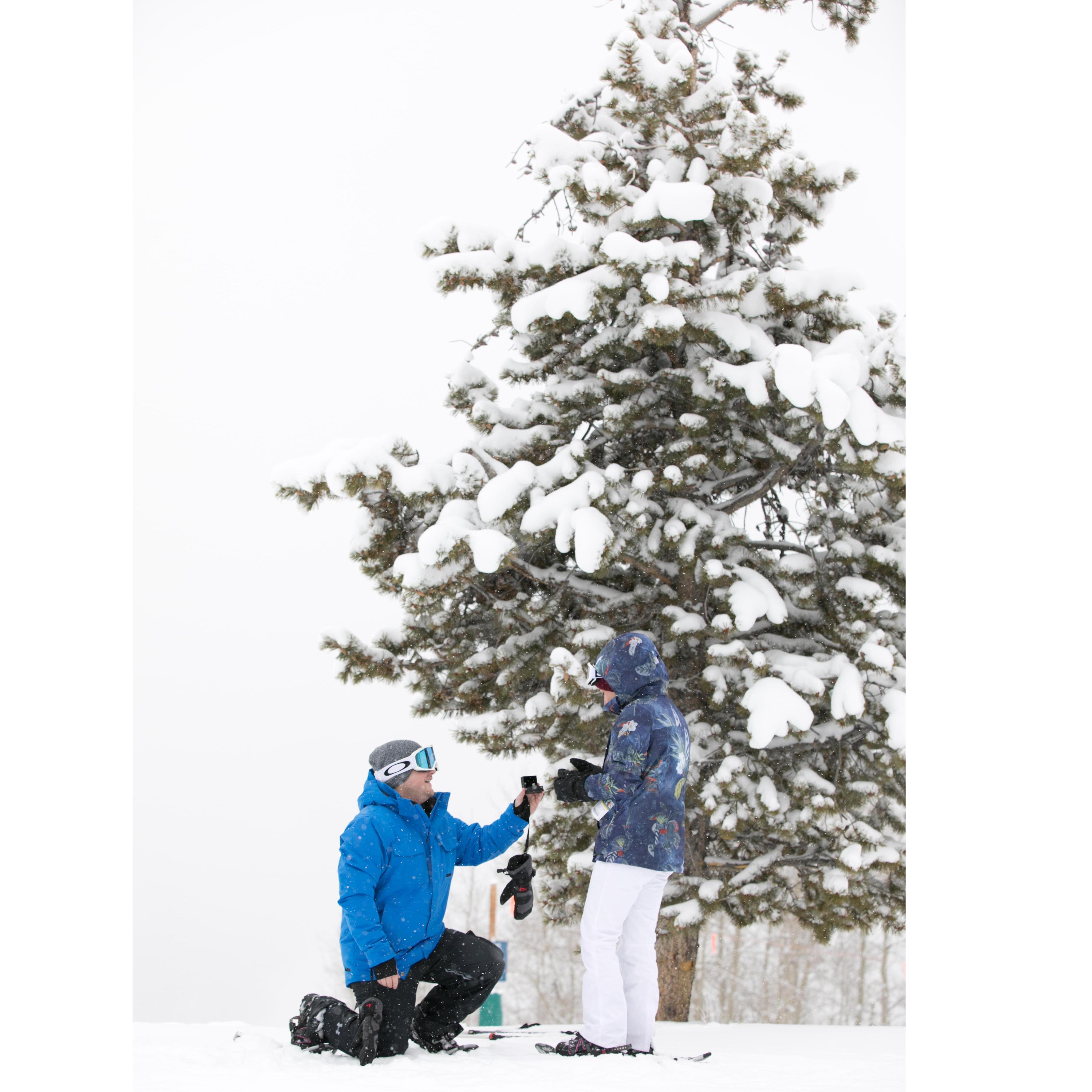 The Proposal, Top of Beaver Creek Mountain