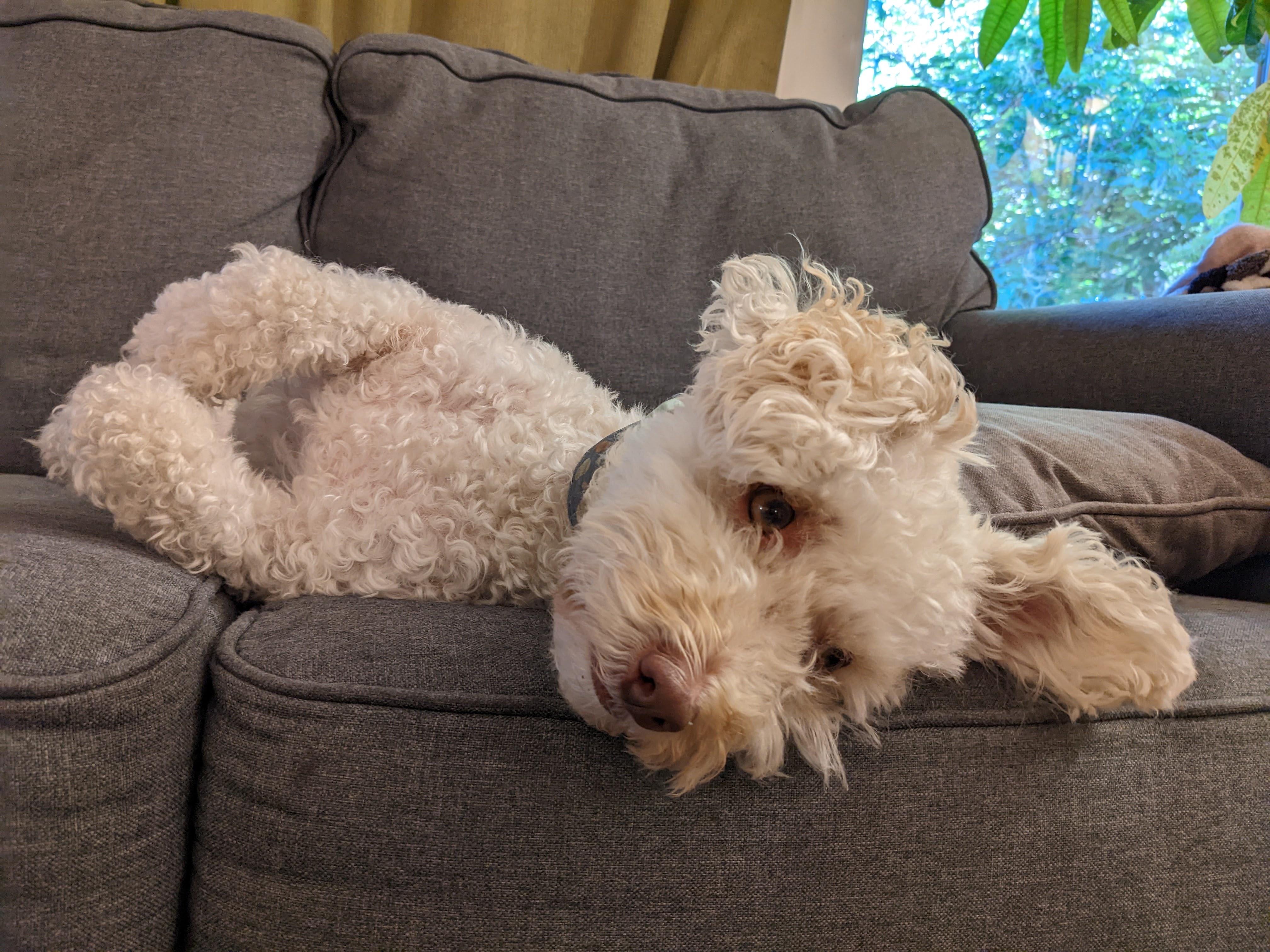 f97f0ae5-12a2-4932-943d-0fa50fa46993