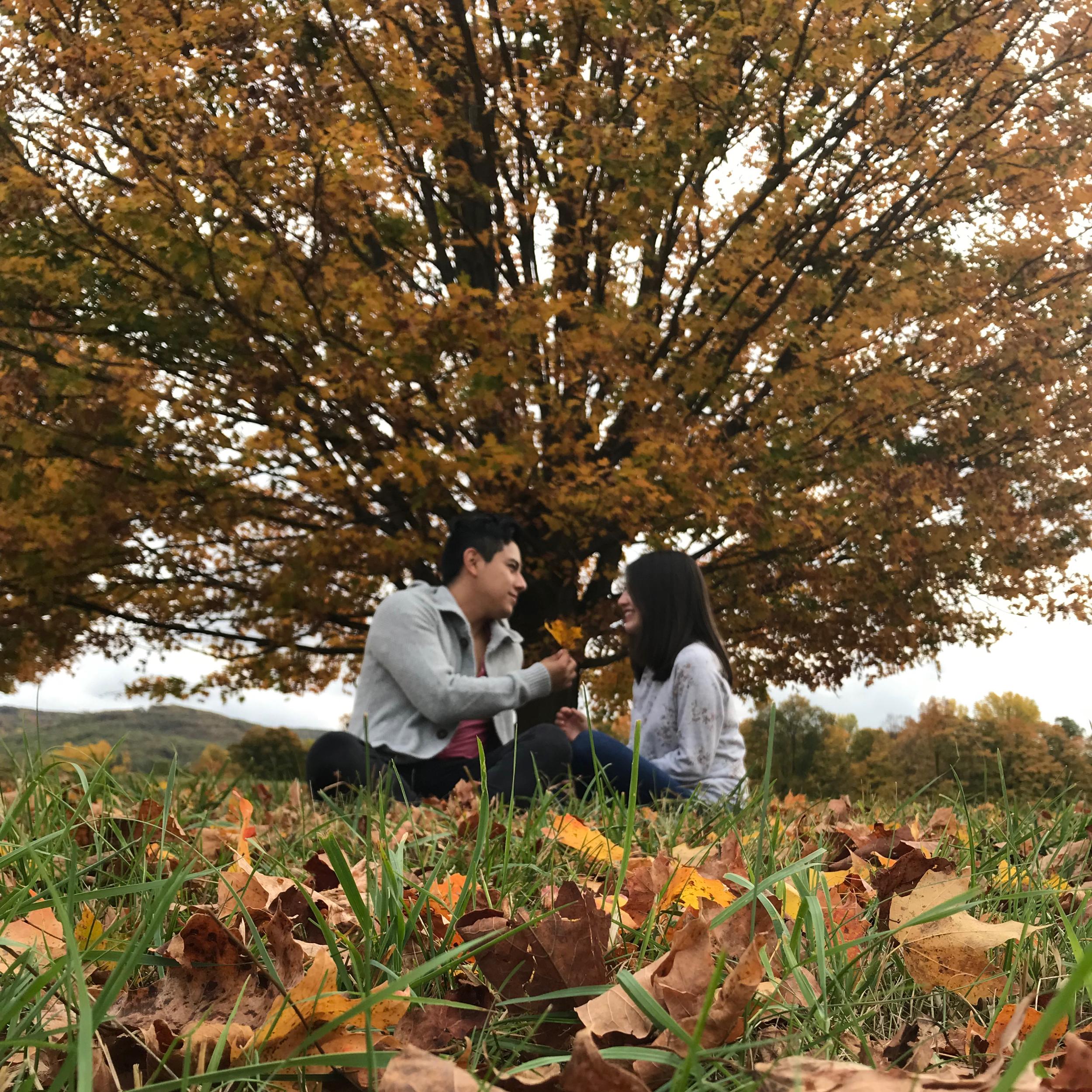 Hero Slideshow Image 4