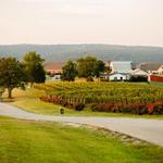 Chaumette Vineyards & Winery