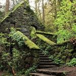 Forest Park Hiking Trail