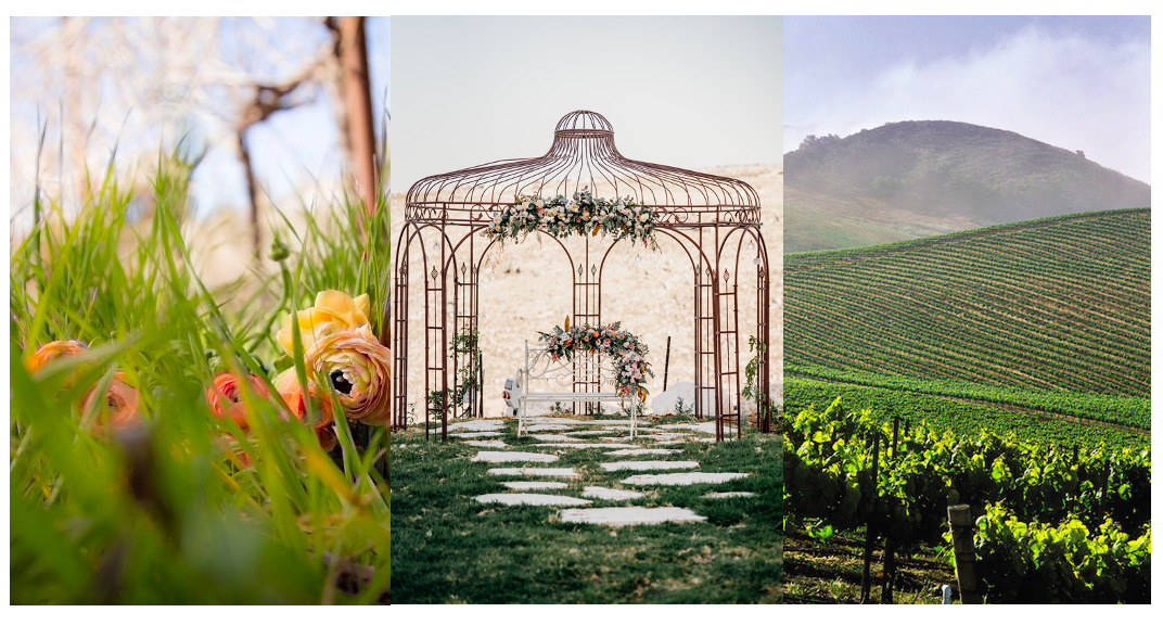 The Wedding Website of Mindy Roth and Austin Maurer