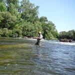 Fish the Boise River!