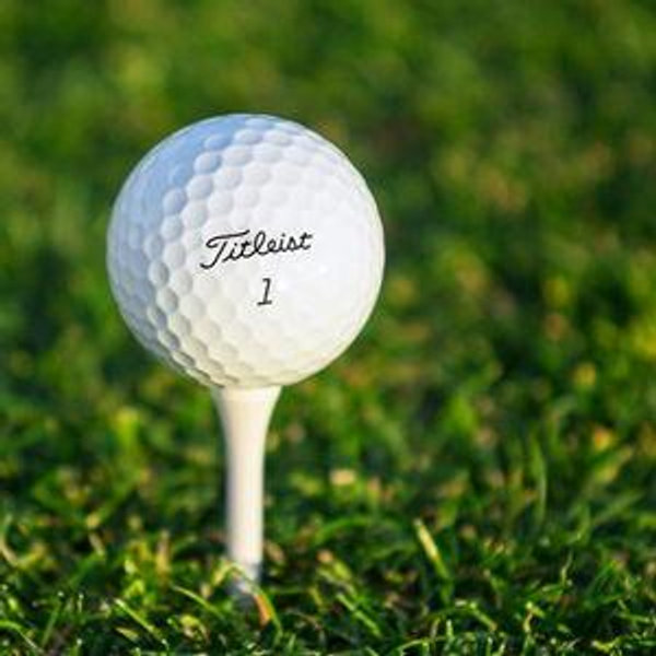 Golf Lesson (sorely needed)