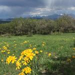 The Grand Mesa