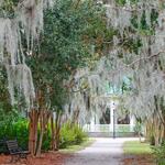 Hampton Park